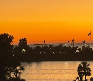 Tarpon Springs Wohnung | The Tarpon Flat Bright 1BR Downtown Retreat