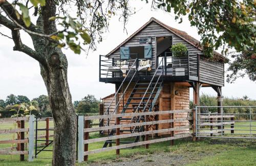 Broughton Hackett Sonstige | The Treehouse at Humblebee Hall