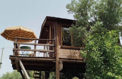Nocera Terinese Skihütte | The Treehouse - Treehouse at Golden Camp