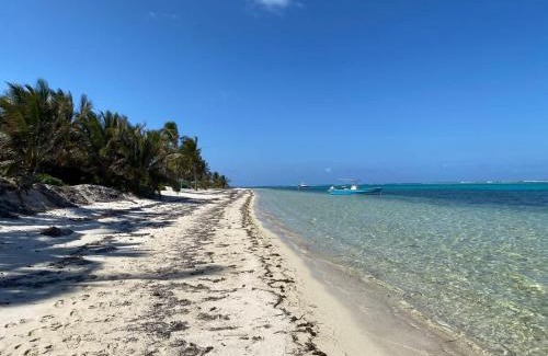 Colliers Bay Haus | The Tropical Breeze Cottage