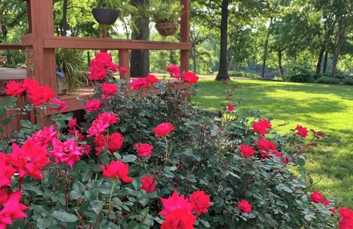 Norfork Kabine | "The Wilson Cabin" Cozy Accommodation on the River
