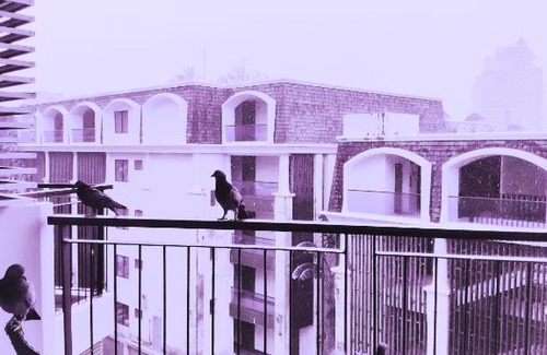 Patong Wohnung | TheCharmResort芭东海滩复式海景双露台行政套房Patong duplex sea view double terrace executive suite