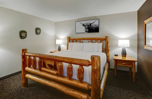 Peoria Hotel | Theme Suite with Whirlpool in Stoney Creek Peoria! Free Breakfast | 2 Units
