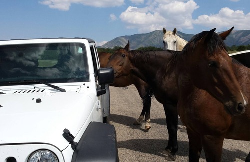 Thompson Wohnmobilvermietung | Auf der I-70 NUR 5 Meilen von Moab Ausfahrt !!!