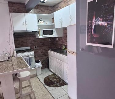 Mata Redonda Wohnung | Tico Experience in a Family-Friendly Neighborhood