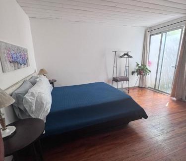 Mata Redonda Wohnung | Tico Experience in a Family-Friendly Neighborhood