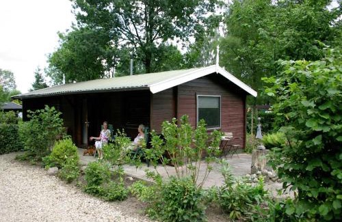 Ootmarsum Skihütte | Tidy chalet with a microwave in the Achterhoek