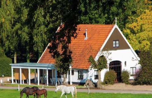 Ootmarsum Skihütte | Tidy chalet with a microwave in the Achterhoek
