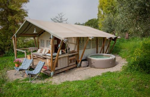 Montecorto Sonstige | Tienda de Safari Almagro