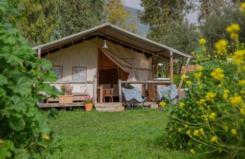 Montecorto Sonstige | Tienda de Safari Almagro