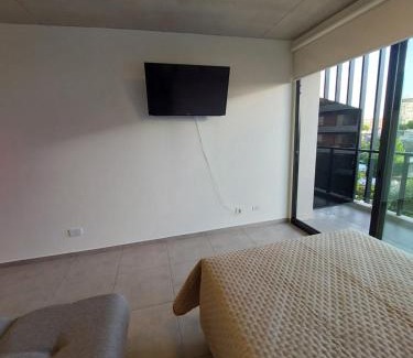 Tigre Wohnung | Tigre-Estación Fluvial Monoambiente