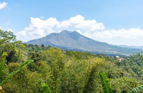 Kintamani Haus | Tiing Bali Guest House Kintamani