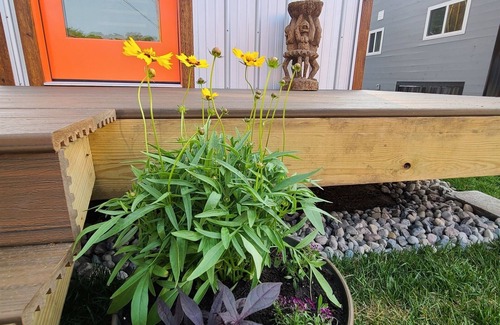 Lakeside Wohnung | Tiki Hut - Tiny Digs Lakeshore