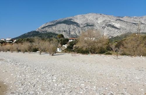 Kampos Marathokampou Wohnung | Tiki Rooms