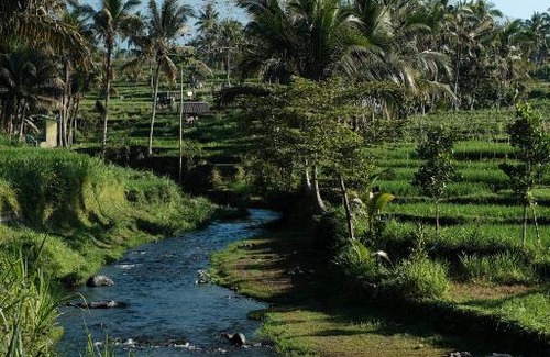 Kecamatan Pringgasela Sonstige | Timbooland Camp Site