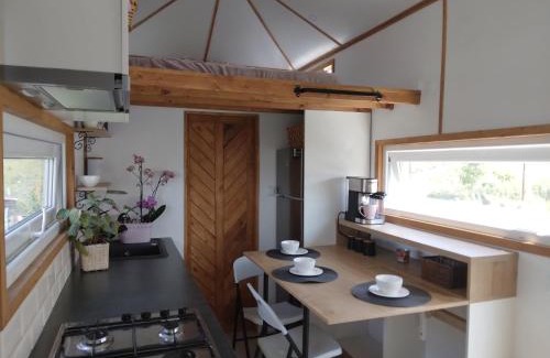 Apahida Haus | Tiny House Cluj with Jacuzzi