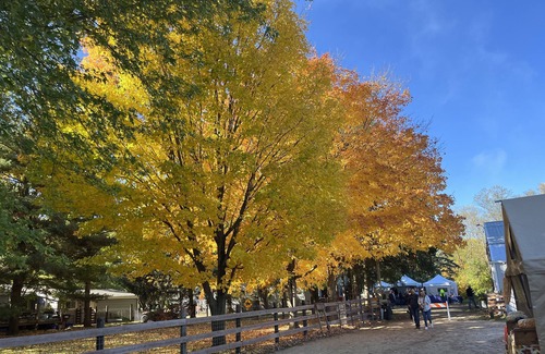 Alden Haus | Tiny house on a horse farm.