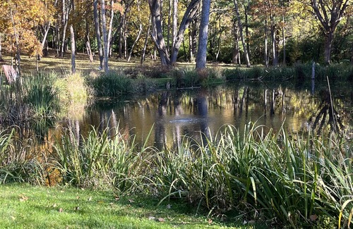 Alden Haus | Tiny house on a horse farm.