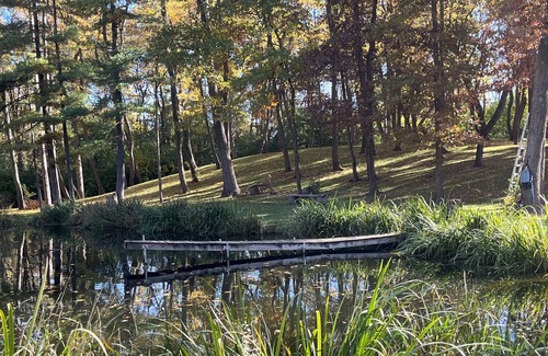 Alden Haus | Tiny house on a horse farm.