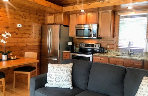 Black River Falls Hütte | Tiny House on the River