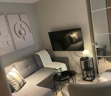 Pyskowice Wohnung | Tiny Studio Pyskowice with parking
