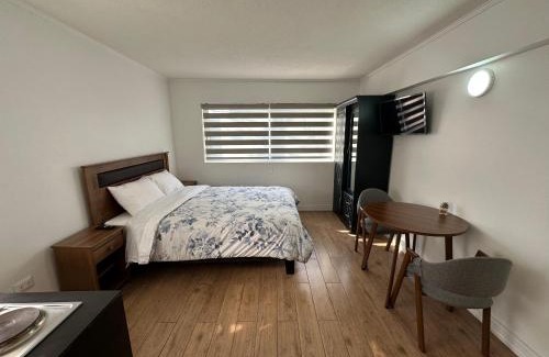 Concepcion Wohnung | TinyApartments - estudio pleno centro Concepción