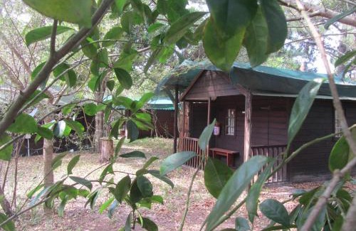 Mbazwana Kabine | Toad Tree Cabins