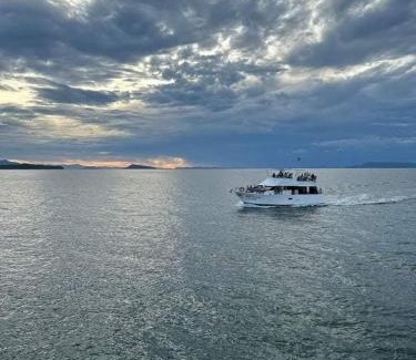 Puntarenas Wohnung | Todo incluido en Yate a Isla Tortuga con habitacion de hotel en Puntarenas