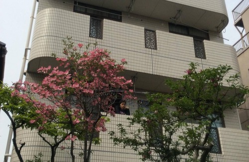 Adachi Haus | ♪ Guesthouse Yamadaya Praktisch für den Transport mit Familie und Freunden!