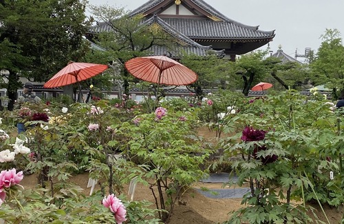 Adachi Haus | ♪ Guesthouse Yamadaya Praktisch für den Transport mit Familie und Freunden!