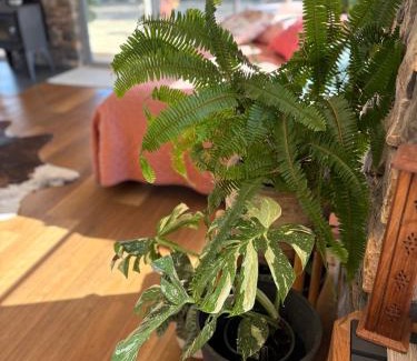 Toodyay Haus | Toodyay Upon Avon Guest House and Gallery