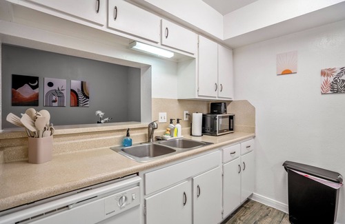 Houston Wohnung | Towne Plaza Apartments #295 in the Galleria Area