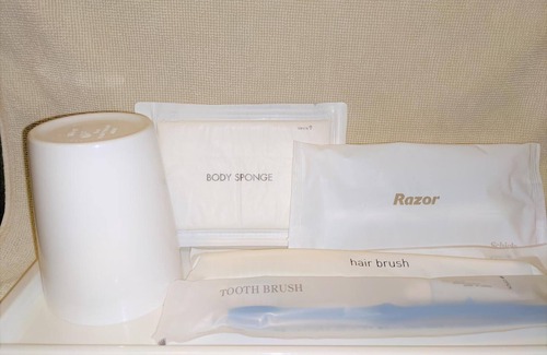 Toyama Hotel | Toyama Jiyukan