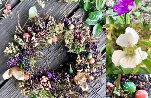 Taketomi-jima Taketomi-cho Haus | Travelers House おーさんてぃん青空舎