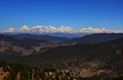Almora Haus | Traveller Hive Kasar Devi