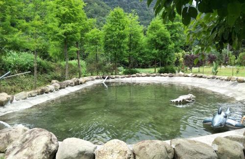 Beipu Sonstige | Traveller Mountain Spring Farm