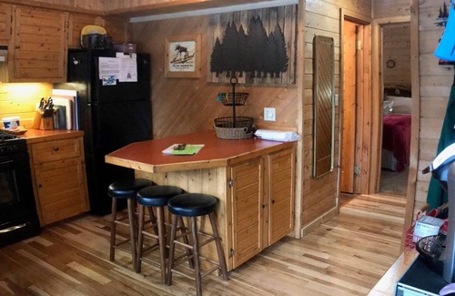 Mayfield Kabine | Boardman River (Traverse City) Blockhaus - Ihr Angel- und Motorschlittenparadies!