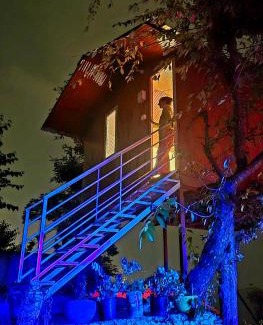 Shimla Skihütte | TREE HOUSE BY THE CITY ESCAPE