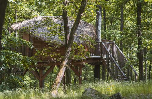 Jinacovice Sonstige | TREE HOUSE U Mravence