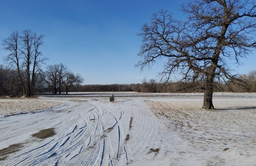 Caledonia Wohnung | Treehouse Apartment