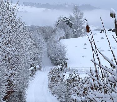 Ambleside Skihütte | Treeside woodhouse