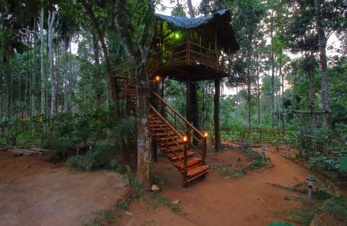 Kidanganad Villa | TreeSong Villa - Tranquil Forest Villa in Wayanad