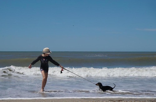 Mar de Cobo Wohnung | Tres Cabos - Apart de Mar y Bosque