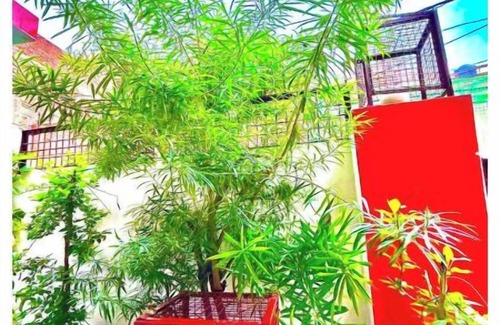 Faizabad Haus | Treta Homestay| Treta Homestay