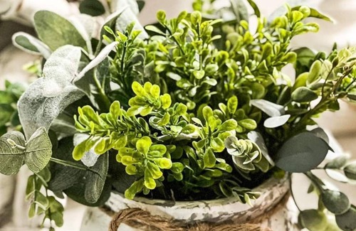 Salem Lakes Haus | Trevor Cottage, with swimming pool and fire pit