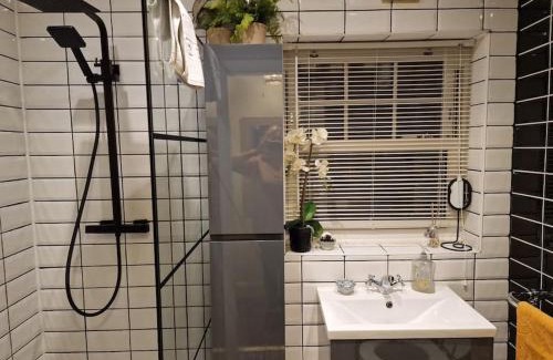 City Centre Dublin Wohnung | Trinity Cottage 2 bed with mezzanine