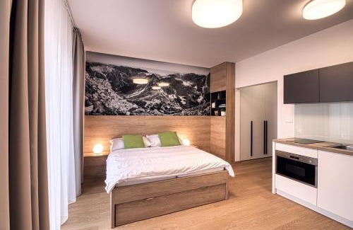 Stary Smokovec Wohnung | Trio Tatry