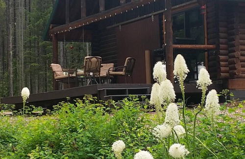 Essex Kabine | 2 Meilen von Izaak Walton Inn-XC Ski und Schneeschuh Himmel-Blockhaus auf 4 Hektar