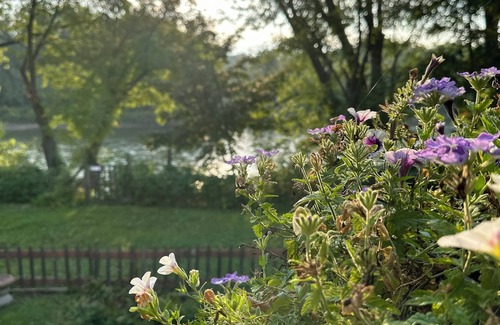 Oregon Haus | True River Frontage Private grounds 3-bedroom house Enjoy a relaxing stay