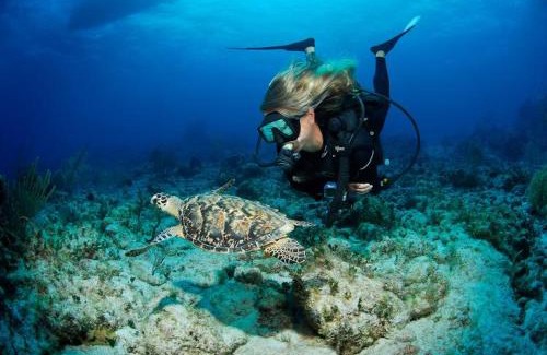 Tibbett's Turn Wohnung | Tulixx Cayman Beach Villa